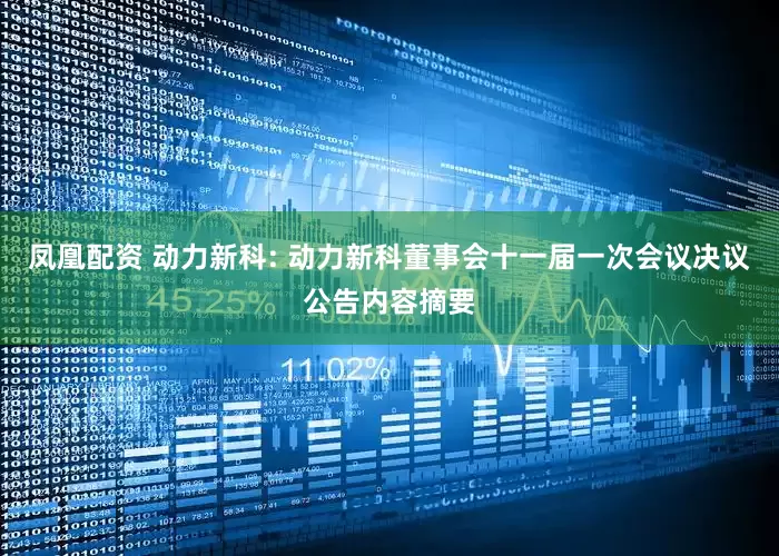 凤凰配资 动力新科: 动力新科董事会十一届一次会议决议公告内容摘要