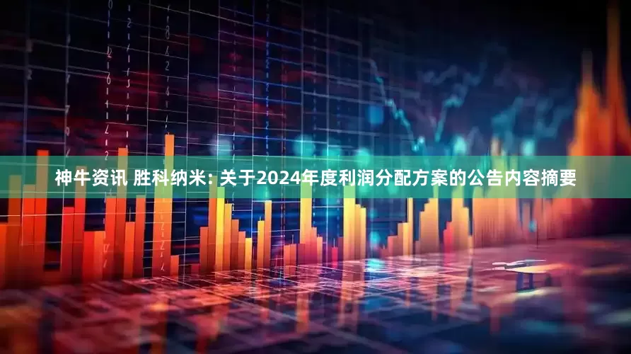 神牛资讯 胜科纳米: 关于2024年度利润分配方案的公告内容摘要